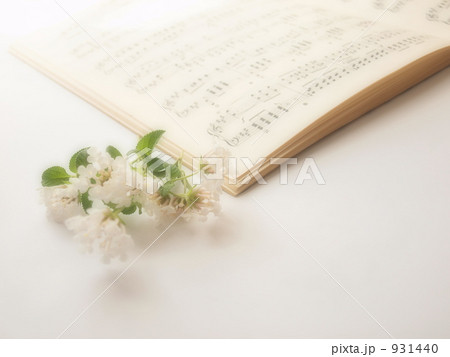 楽譜とランタナ 931440