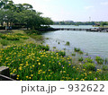 桟橋と菖蒲 932622