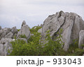 四国カルストの岩 933043