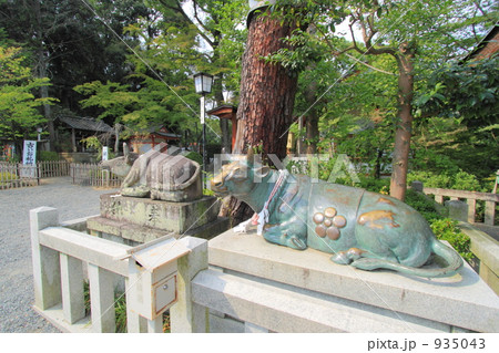 長岡天満宮の牛像 935043