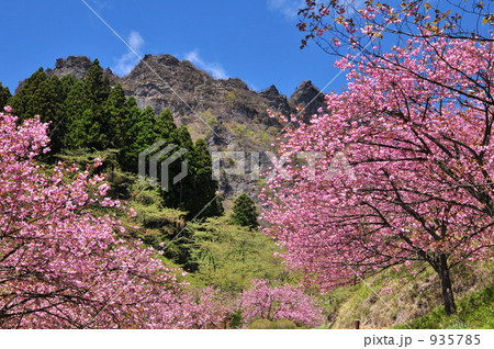 春の妙義山 935785