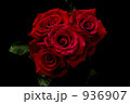 薔薇 936907