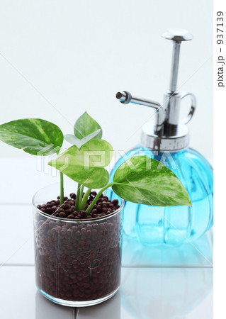 ハイドロカルチャー 937139