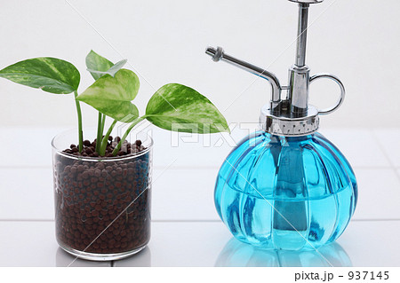 ハイドロカルチャー ハイドロカルチャー 937145