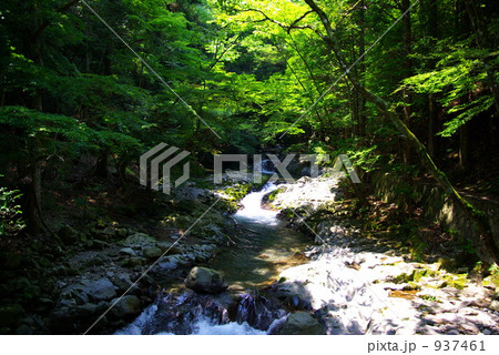 夏の伊豆　滑沢渓谷 937461