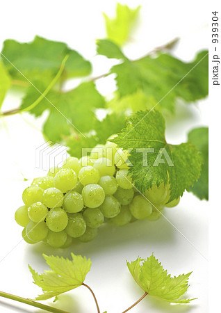 ネオマスカット 939304