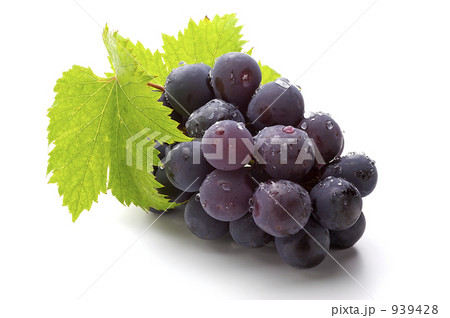 ピオーネ ピオーネ 939428