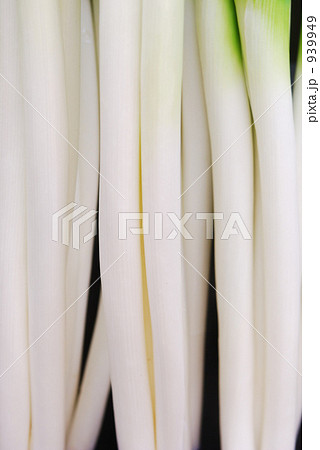 白ネギ 939949