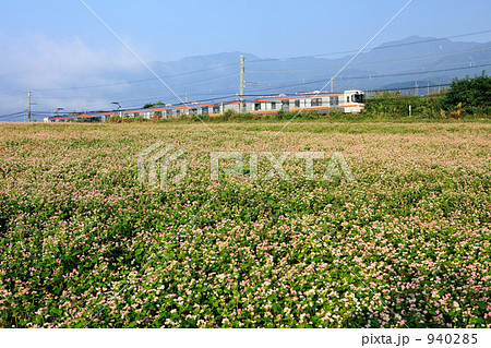 赤そば畑と飯田線 940285