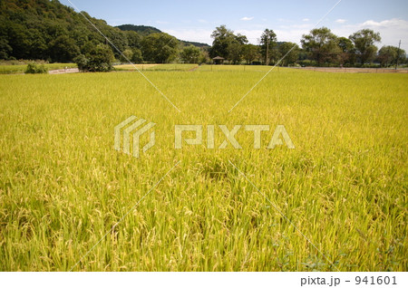 広沢 秋 田 広沢 秋 田 941601