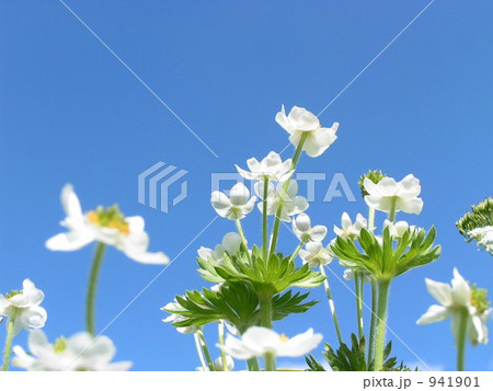 天までとどけ！ 941901