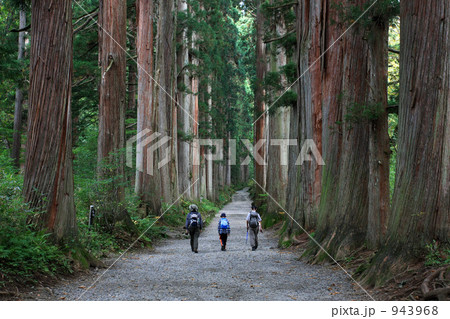 パワースポット戸隠神社奥社の杉並木　 943968