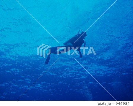 ダイビング 水中写真 ダイビング 水中写真 944984