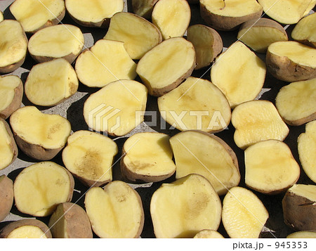 ジャガイモ　種芋 945353