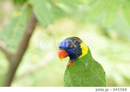 背中で語る 945569