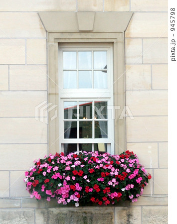 花、窓 945798