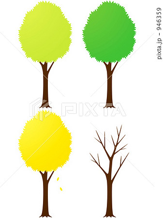 樹木の四季 946359