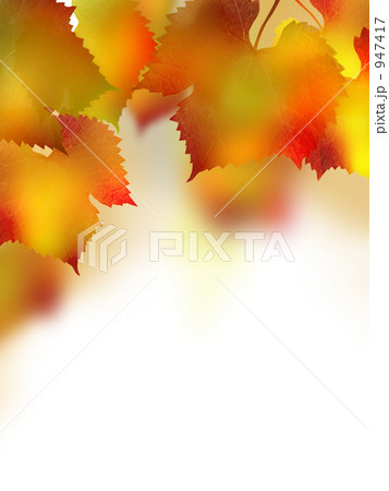 紅葉 紅葉 947417