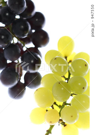 ぶどう ぶどう 947550