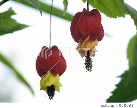 チロリアンランプ 950633