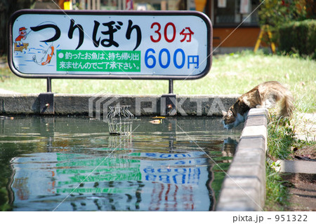 何が居るかな? 何が居るかな? 951322