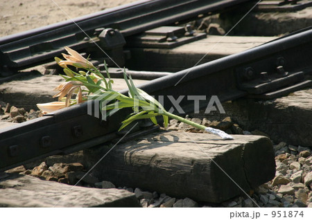アウシュビッツ強制収容所の線路に手向けられた百合 アウシュビッツ強制収容所の線路に手向けられた百合 951874