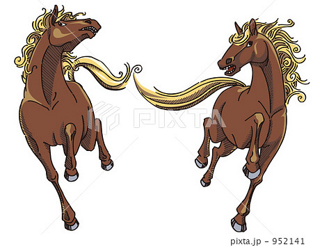 馬 野生馬の躍動感のイラスト素材 952141 Pixta