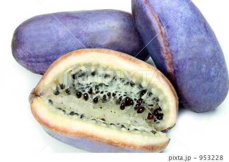 アケビ アケビ 953228