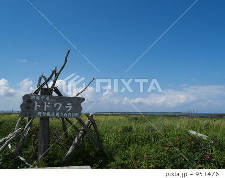 トドワラ2 トドワラ2 953476