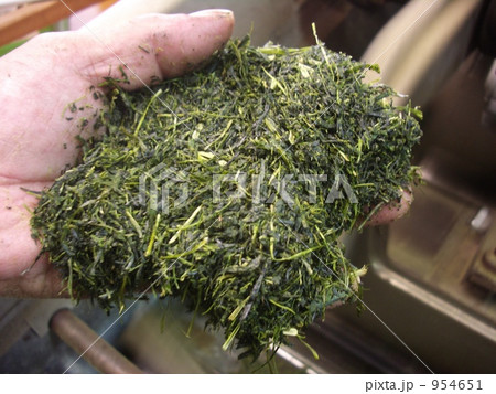 新茶製造中の荒茶のアップ 954651