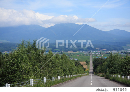 パノラマロード　江花 955046