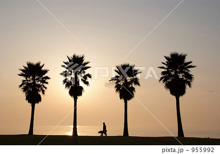 浜辺 浜辺 955992