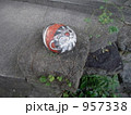尾道散策 957338