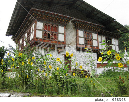 プナカゾン 958348