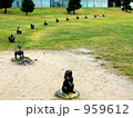 縁結びの宍道湖うさぎ 959612