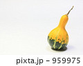 飾りかぼちゃ 959975