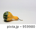 飾りかぼちゃ 959980