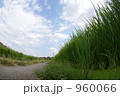 960066