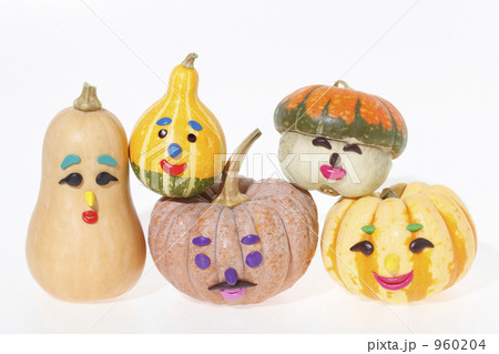 カボチャの集合写真 960204