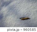 冬の斜陽 960585