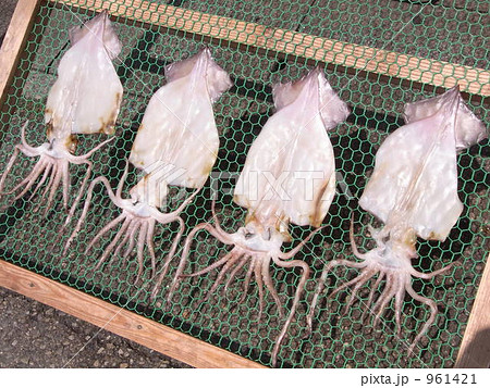 いか いか 961421