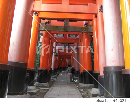 鳥居の小路 鳥居の小路 964021