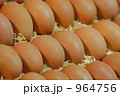卵 964756