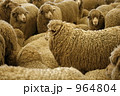羊の群れ 964804
