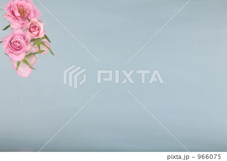 立体の薔薇 966075