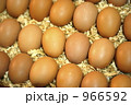 赤玉卵 966592