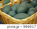 エミューの卵 966617