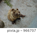 ベルンのシンボル 966707