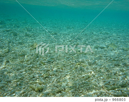 バラス島の水中 966803
