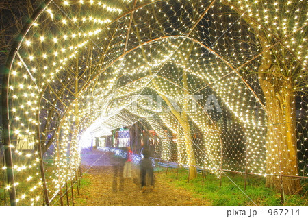 イルミネーション　トンネル 967214